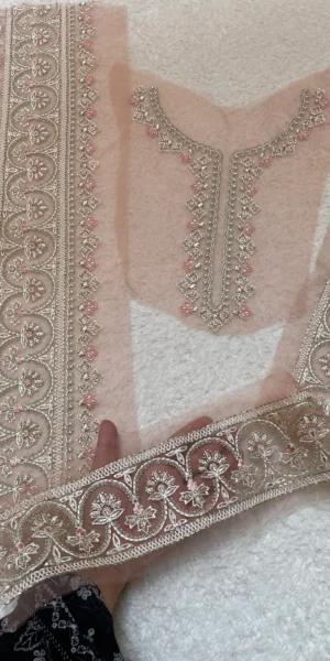 Ethnic Peach Set -  Neckline -  Daman - Sleeves
