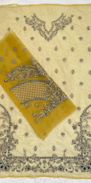 Imrozia Shirt Front and Sleeves